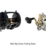 Top 15 Best Big Game Trolling Reels That Will Blow You Away