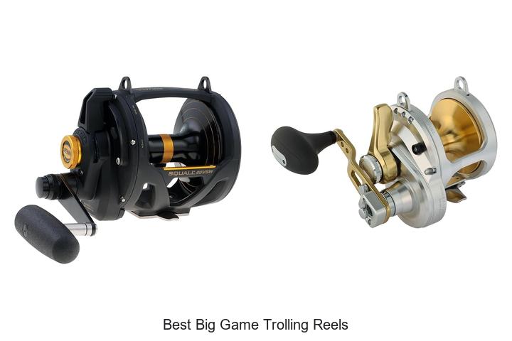 Top 15 Best Big Game Trolling Reels That Will Blow You Away