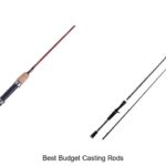 Top 15 Best Budget Casting Rods That Will Blow Your Mind