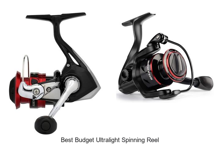 Top 15 Best Budget Ultralight Spinning Reel You Need Now