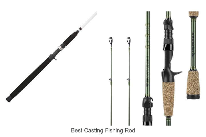 Top 15 Best Casting Fishing Rods That Will Blow Your Mind