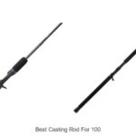 Top 15 Best Casting Rod for 100 That Anglers Swear By
