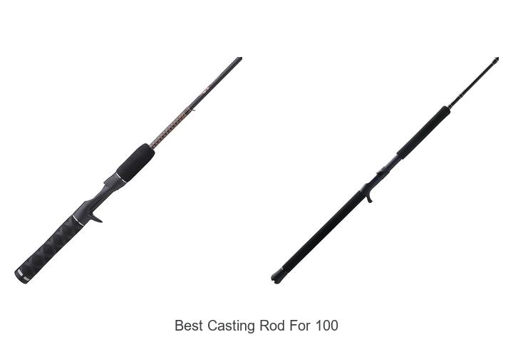 Top 15 Best Casting Rod for 100 That Anglers Swear By