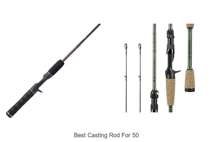 Top 15 Best Casting Rod for 50 That Will Blow Your Mind