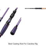 Top 15 Best Casting Rod For Carolina Rig You Can’t Miss