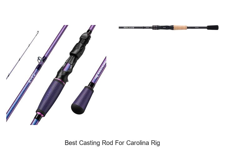 Top 15 Best Casting Rod For Carolina Rig You Can’t Miss