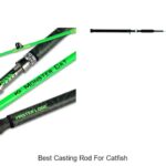 Top 15 Best Casting Rod For Catfish You Can’t Miss Today