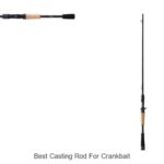 Top 15 Best Casting Rod For Crankbait You Can’t Miss!