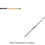 Top 15 Best Casting Rod for Salmon You Can’t Miss