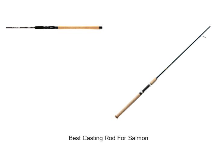 Top 15 Best Casting Rod for Salmon You Can’t Miss