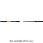 Top 15 Best Casting Rod For Senkos That Will Blow Your Mind