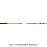 Top 15 Best Casting Rod For Steelhead You Can’t Miss