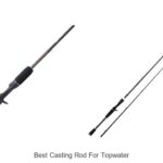 Top 15 Best Casting Rod For Topwater That Will Blow Your Mind
