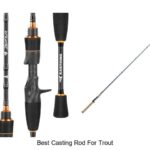 Top 15 Best Casting Rod for Trout You Can’t Miss