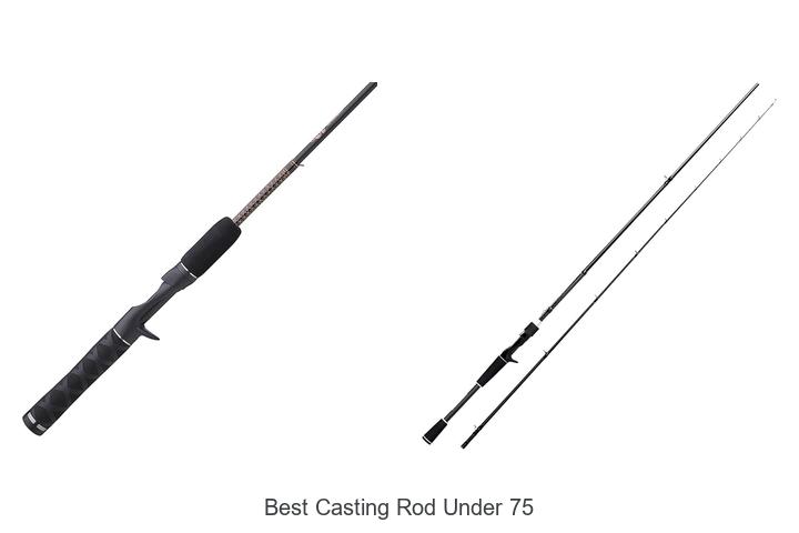 Top 15 Best Casting Rod Under 75 That Will Blow Your Mind