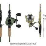 Top 15 Best Casting Rods Around 100 That Will Shock You