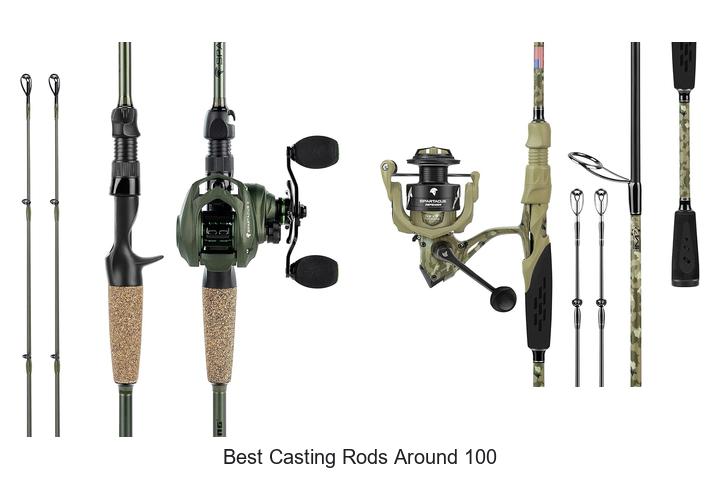 Top 15 Best Casting Rods Around 100 That Will Shock You