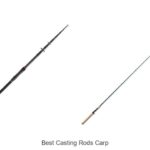 Top 15 Best Casting Rods Carp That Will Boost Your Catch!
