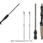 Top 15 Best Casting Rods for 100 That Will Blow Your Mind