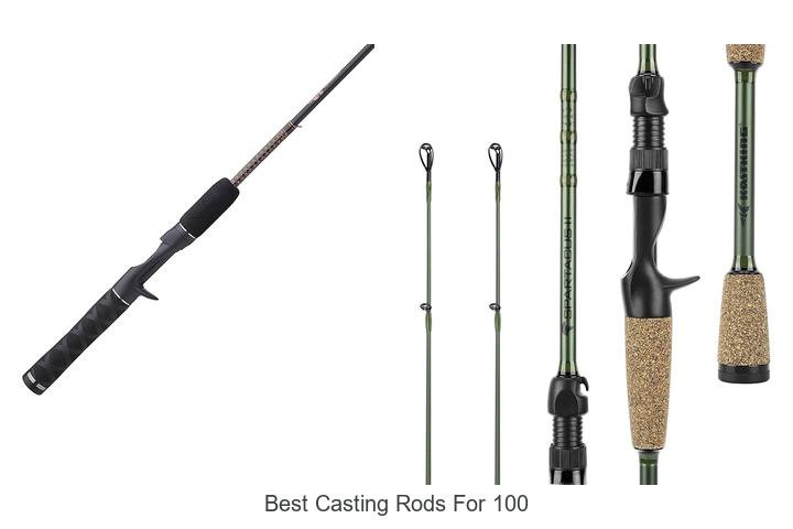 Top 15 Best Casting Rods for 100 That Will Blow Your Mind