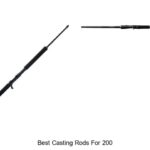 Top 15 Best Casting Rods for 200 That Anglers Swear By