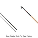 Top 15 Best Casting Rods For Carp Fishing You Can’t Miss