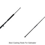 Top 15 Best Casting Rods for Saltwater That Experts Love