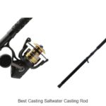 Top 15 Best Casting Saltwater Casting Rods You Need Now!