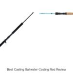 Top 15 Best Casting Saltwater Casting Rod Review You Need
