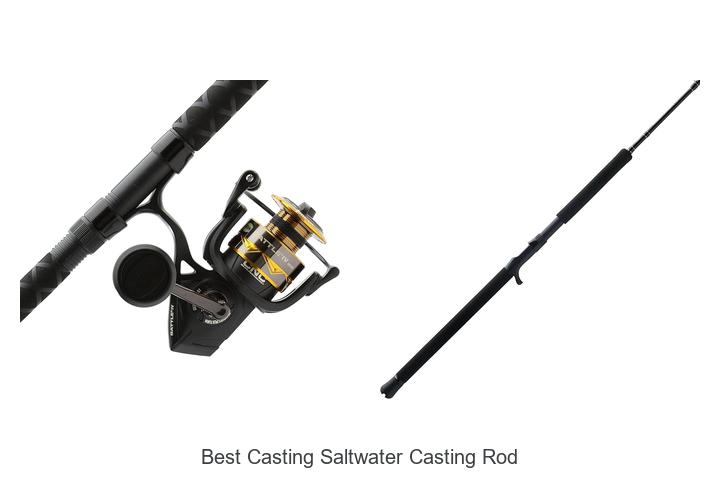 Top 15 Best Casting Saltwater Casting Rods You Need Now!