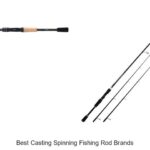Top 15 Best Casting Spinning Fishing Rod Brands You Need