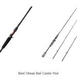 Top 15 Best Cheap Bait Caster Rod For Epic Catches!