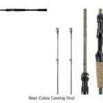 Top 15 Best Cobia Casting Rods You Can’t Miss