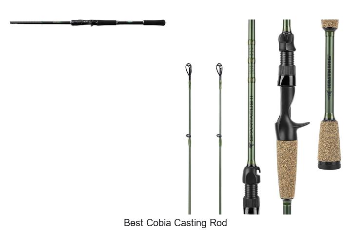 Top 15 Best Cobia Casting Rods You Can’t Miss
