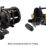 Top 15 Best Conventional Reel For Trolling You Can’t Miss!