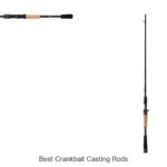 Top 15 Best Crankbait Casting Rods That Catch Big Fish!