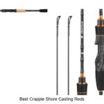 Top 15 Best Crappie Shore Casting Rods You Can’t Miss