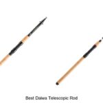 Top 15 Best Daiwa Telescopic Rod For Unbeatable Fishing Fun
