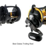 Top 15 Best Daiwa Trolling Reel You Can’t Miss Today