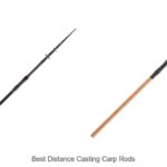 Top 15 Best Distance Casting Carp Rods That Will Blow Minds