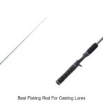 Top 15 Best Fishing Rod For Casting Lures You Must Try Now