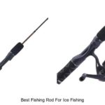 Top 15 Best Fishing Rod For Ice Fishing You Must Try Now