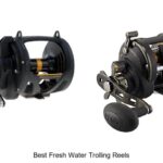 Top 15 Best Fresh Water Trolling Reels You Can’t Miss!