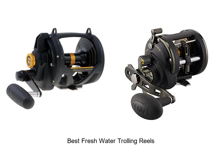 Top 15 Best Fresh Water Trolling Reels You Can’t Miss!