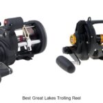 Top 15 Best Great Lakes Trolling Reel That You Must Try!