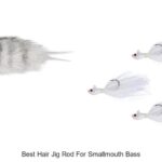 Top 15 Best Hair Jig Rod For Smallmouth Bass You Need Now