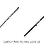 Top 15 Best Heavy Action 80lb Rating Casting Rod Picks!