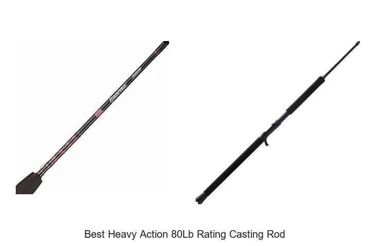 Top 15 Best Heavy Action 80lb Rating Casting Rod Picks!