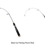 Top 15 Best Ice Fishing Perch Rod You Can’t Miss Now