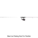 Top 15 Best Ice Fishing Rod for Panfish You Need Now!